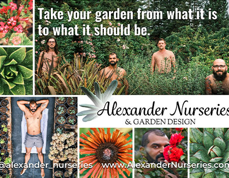 Alexander Nurseries Final Ad